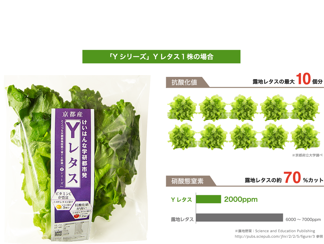 「Yシリーズ」Yレタス1株の場合