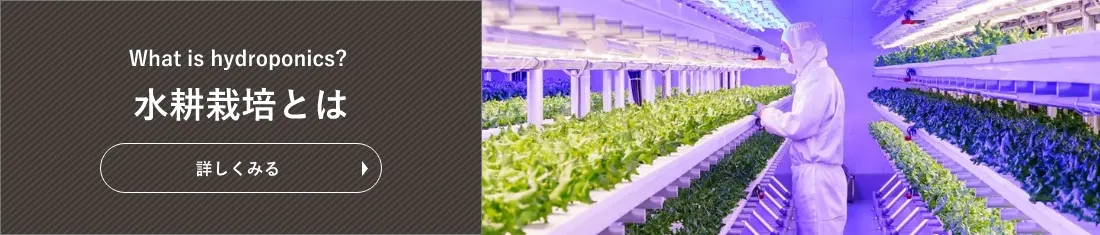 水耕栽培とは
