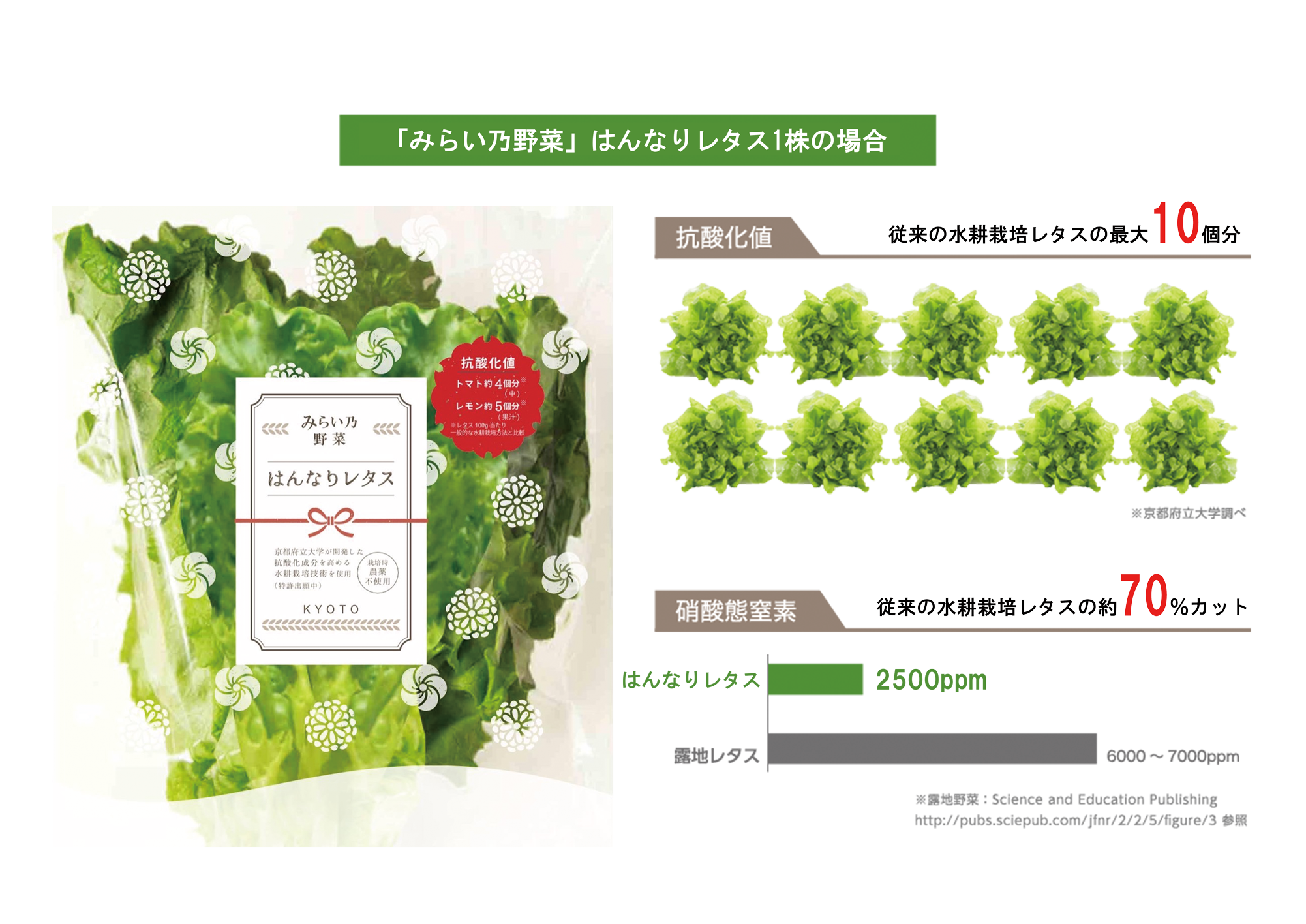 「みらい乃野菜シリーズ」レタス１株の場合