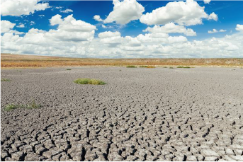 ファームづくりを供給