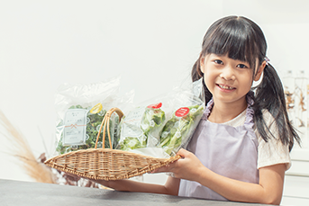 水耕栽培野菜を増やす商品開発